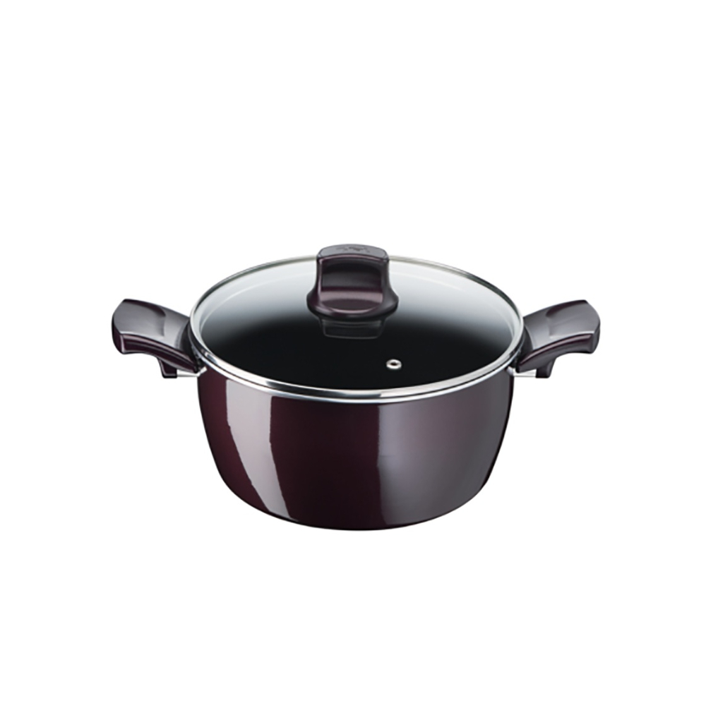 Tefal Resist Intense - Stewpot 22cm + Glass LID, TEF-D5224582