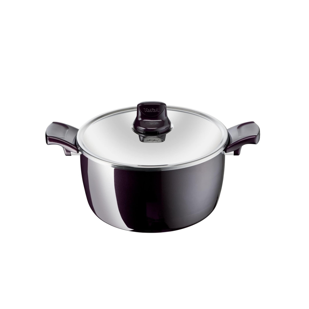 Tefal Resist Intense - Stewpot 24cm + Glass LID, TEF-D5224682