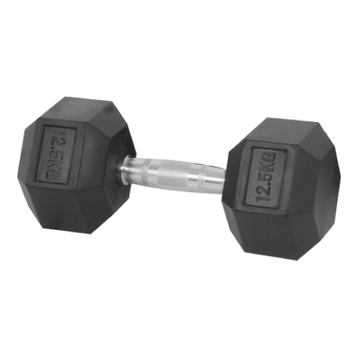 Rubber Dumbbell 12.5KG, SK468