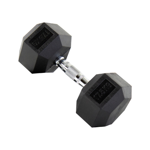 Rubber Dumbbell 17.5KG, SK470