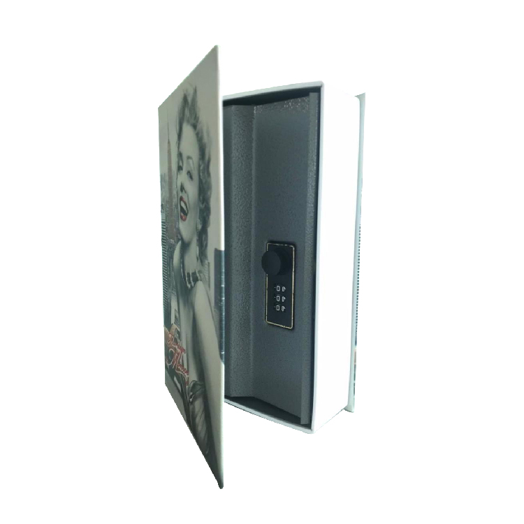 Homesafe Booksafe Metal Cash Box Medium Size, KBS802